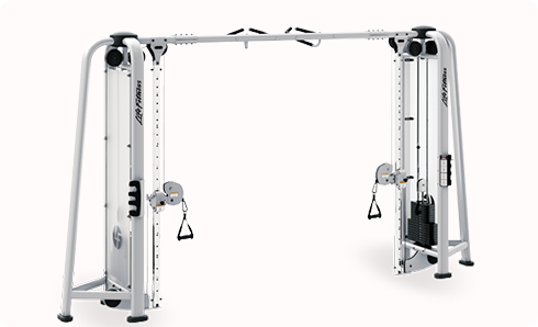 ʮ�ֽ��棨���w�B(ni��o)��Ӗ(x��n)����