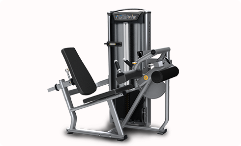 坐姿腿部彎曲訓練機