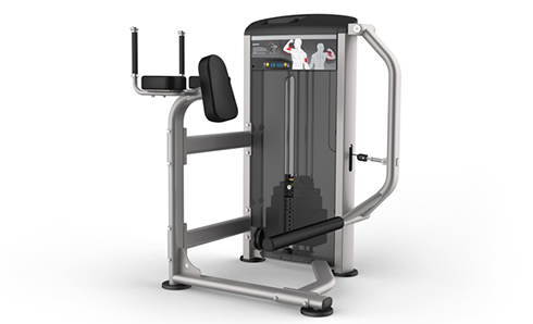 IE9526臀大肌訓練機