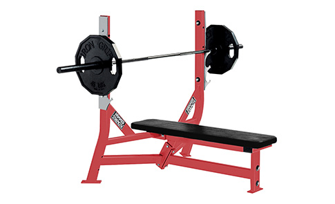 奧林匹克水平推舉椅