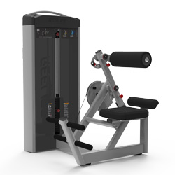 坐式背肌伸展訓練器