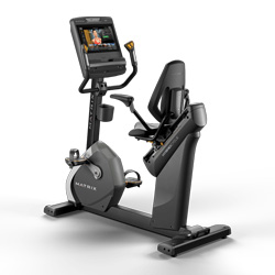 Performance 可調節(jié)多角度健身車