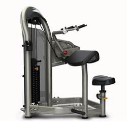 三頭肌伸展訓(xùn)練機 三頭肌伸展訓(xùn)練機